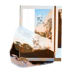 Rudi Kwangu, Rudi Kwetu (The Jam)