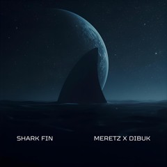 Shark Fin - Meretz & Dibuk