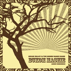 Oscar Sulley & The Uhuru Dance Band - Bukom Mashie (JKriv Extended Acid Dub)