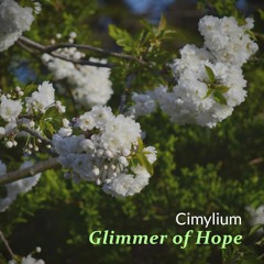 Glimmer of Hope