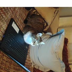 STS349team - Assignment1 - Uras Oran