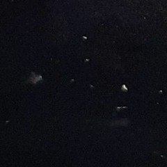 i think they're here but we aren't