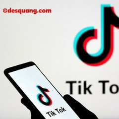 Nhạc TikTok - Đại Điền Hậu Sinh Tử Remix - 生命出生後混音
