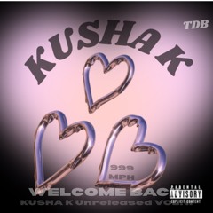 Kusha K - 999 MPH [FAST VERSION]