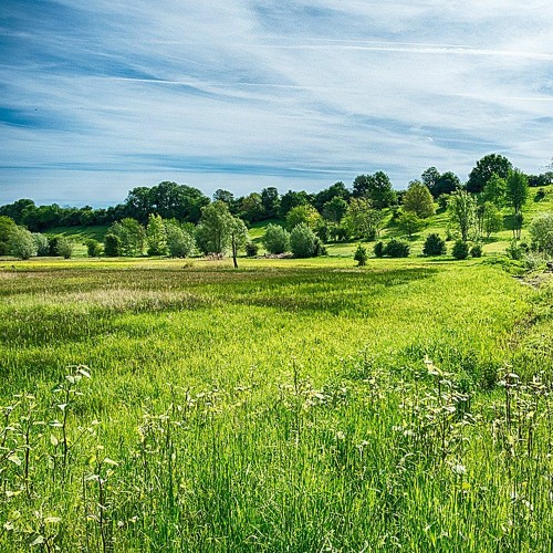 Carl_saved - Climate Change In Spring (Tyrell N6)