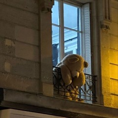 Teddy Bear