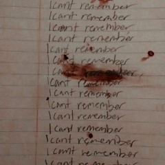 I Cant Remember