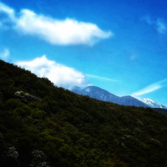 PEAK