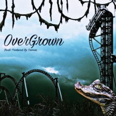 Psychedelic Swamp Jazz (Intro)