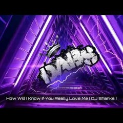 How Will I Know If You Really Love Me ( DJ Shanks Remix )