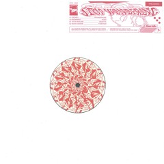 [TNCD005] Various - Stop Wondering EP 12''