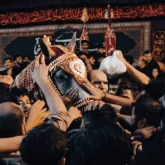 Mein ho gye bay rida ab kis ko mein dun sada  karbala karbala