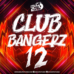 DJ PROTUNES PRESENTS CLUB BANGERZ VOLUME 12 (CAMRON, 50CENT,DMX,AKON,CMURDER,DIPSET)