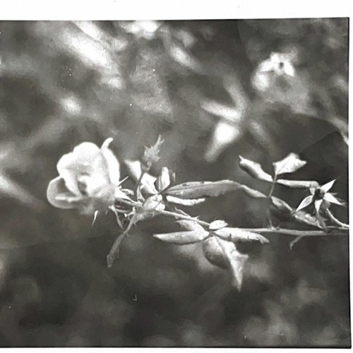 drake - bahamas promises remix