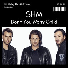 Swedish House Mafia - Don't You Worry Child (Waltry Discofied Remix) [FILTERED]