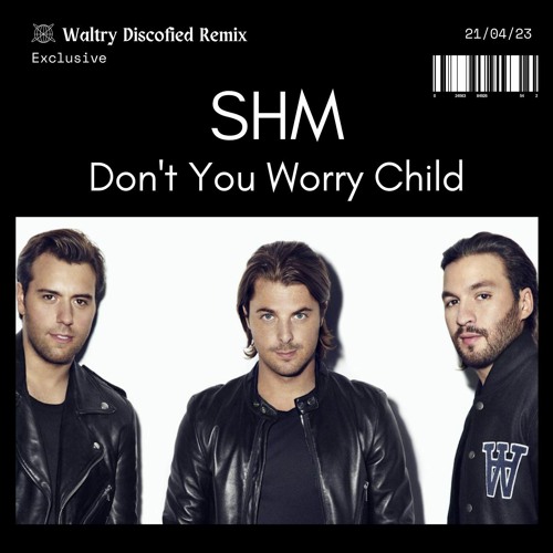 Swedish House Mafia - Don't You Worry Child (Waltry Discofied Remix) [FILTERED]