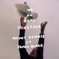 We Go Home Together (feat. James Blake)