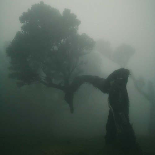 leaving_forever - unfathomed