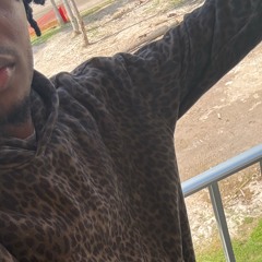 xay - cheetah print