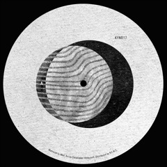 Mike Parker - Heat Inducer [Kynant Records]