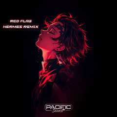 Red Flag (HERMES Remix)
