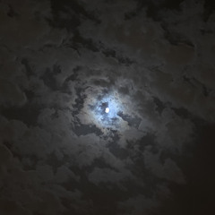 عمري ما اخترت