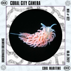 Underwater Dreaming by Cool Maritime - Coral City Camera Mix #022
