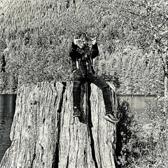 Wishing on a fallen star (1).mp3