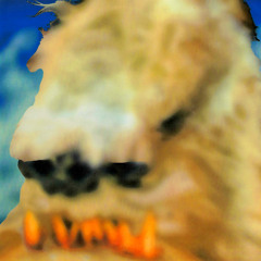 Public Opinion (feat. Roy Blair & Papo2oo4)