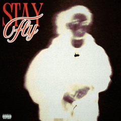 STAY FLY (prod. JH)