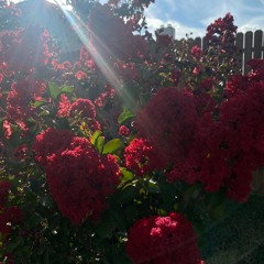 What Every Heart Knows