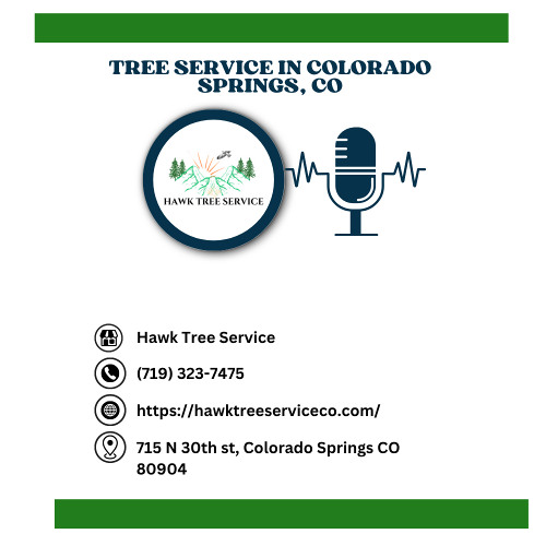 stump-grinding-cost-colorado-springs-co