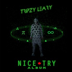 Nice Try (Album Mix)