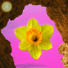 Imagine Peace (Ocean)