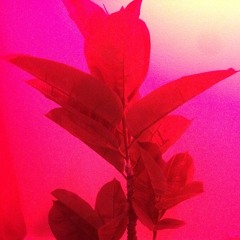 TECHNO BREAKS FOOTWORK JUNGLE