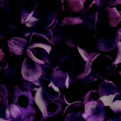 The Bluest Of Purples