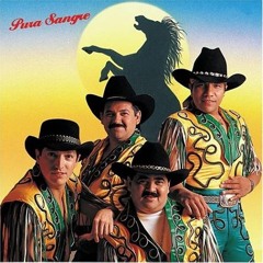 Viejitas Cumbias Gruperas - Mean Mauri