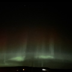 Concrete Grave$ (feat. LXVEVIBEZ)