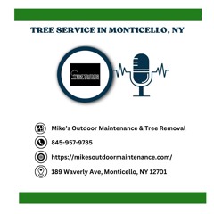can-tree-removal-affect-the-value-of-my-property-in-monticello-ny