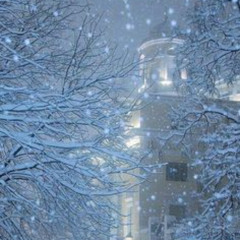 insomnia /prod.luvhack x kashiro