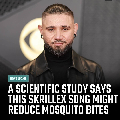 yo skril drop it hard