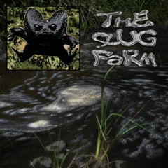 The Slug Farm | Noods Radio