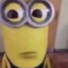 Zaydo- pape chaser Ft.Nephew.