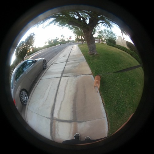 First & The Streets Of LA