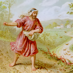 Sermón Domingo de Sexagésima