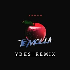 Arnon ft Killua - Te Molla (YDHS REMIX).mp3