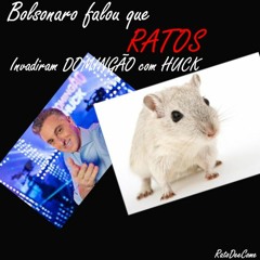Bolsonaro Falou Que Ratos Invadiram O DOMINGÃO COM HUCK