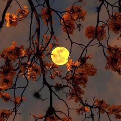 (음질 다 깨져서 재업해야하는) 사랑의 마법 & 붉은백합 remix slowed(0.9)