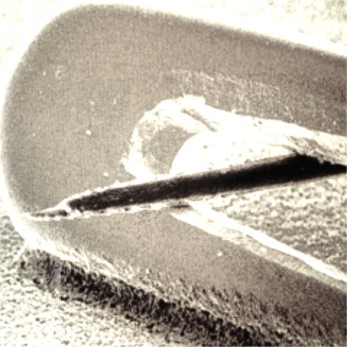 bullets (prod. Dani Kiyoko)