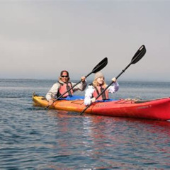 Review Special Price Ketchikan Shore Excursion: Eagle Island Sea Kayaking